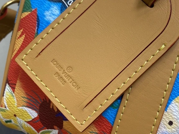 SPEEDY Vuitton Louis 25 0102